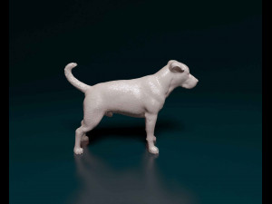Pitbull 3 3D Print Model