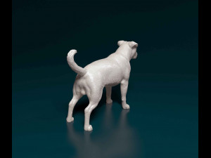 Pitbull 3 3D Print Model