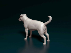 Pitbull 3 3D Print Model