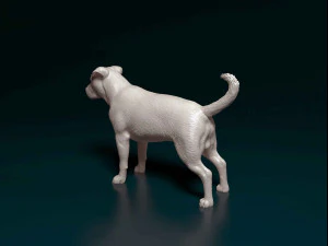 Pitbull 3 3D Print Model