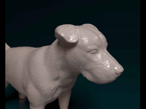 Pitbull 3 3D Print Model