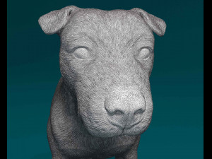 Pitbull 3 3D Print Model