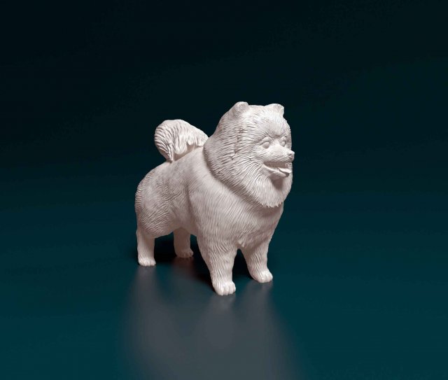 Pomeranian dog 3Dプリントモデル .c4d .max .obj .3ds .fbx .stl .blend 