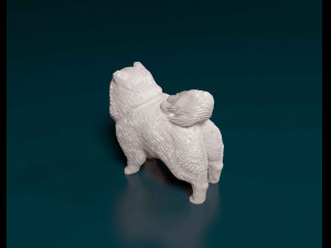 Pomeranian dog 3Dプリントモデル
