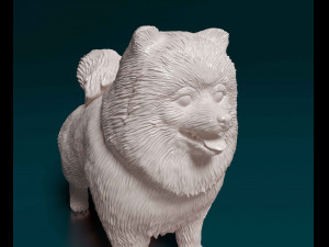 Pomeranian dog 3Dプリントモデル