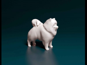 Pomeranian dog 3Dプリントモデル
