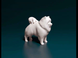 Pomeranian dog 3D Print Model