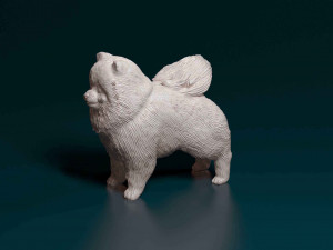 Pomeranian dog 3Dプリントモデル