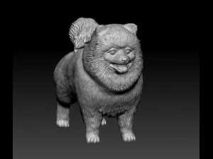 Pomeranian dog 3D Print Model