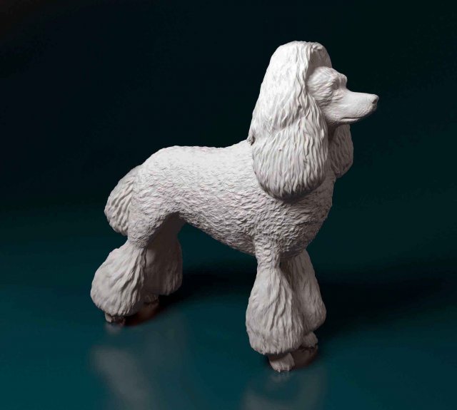 Poodle Modelo de Impressão 3D .c4d .max .obj .3ds .fbx .stl .blend 