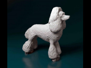 Poodle 3D-Druckmodell
