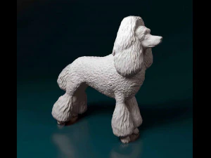Pudel Model do druku 3D