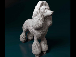 Poodle Modelo de Impressão 3D