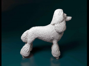 Poodle Modelo de Impressão 3D