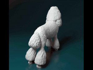 Poodle Modelo de Impressão 3D