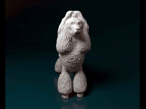 Poodle Modelo de Impressão 3D
