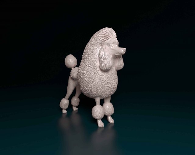 Poodle Continental Modelo de Impressão 3D .c4d .max .obj .3ds .fbx .stl .blend 
