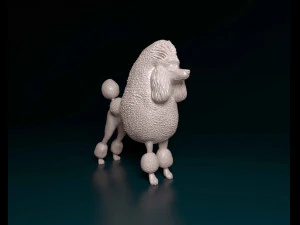 푸들 컨티넨탈 3D 프린트 모델