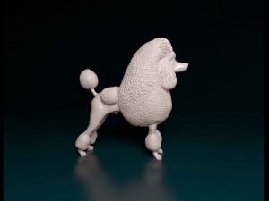 Poodle Continental Modelo de Impressão 3D