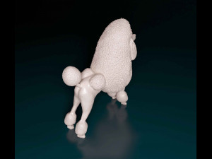 Poodle Continental Modelo de Impressão 3D