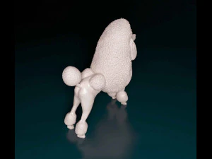 푸들 컨티넨탈 3D 프린트 모델