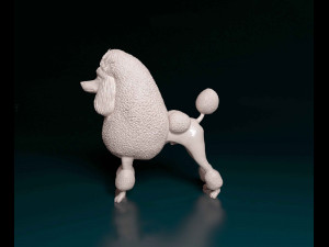 Poodle Continental Modelo de Impressão 3D