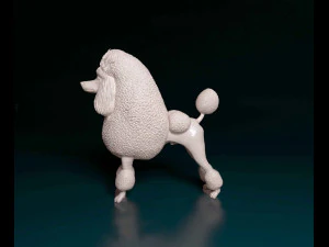 푸들 컨티넨탈 3D 프린트 모델