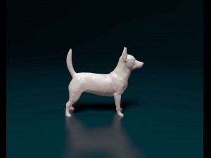 Portuguese Podengo Modelo de impresión 3D