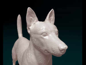 Portuguese Podengo Modelo de impresión 3D