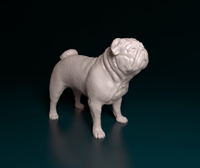 Pug dog 2 Modello di stampa 3D .c4d .max .obj .3ds .fbx .stl .blend 