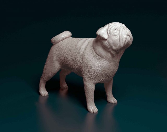 Pug dog Modèles 3D en vedette .c4d .max .obj .3ds .fbx .stl .blend 