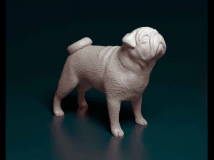 Pug k&ouml;peği 3D Baskı Modeli