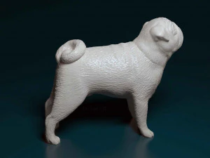 Мопс 3D Принт Модель