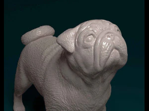 Мопс 3D Принт Модель