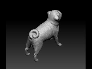 Pug dog Modèles 3D en vedette