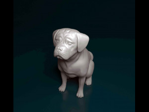 Puggle 3D-printmodel