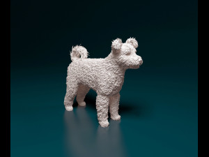 Pumi dog 3D Print Model
