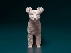 Pumi dog Modelo de Impressão 3D
