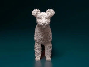 Pumi dog 3D Print Model