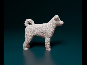 Pumi dog Modelo de Impressão 3D