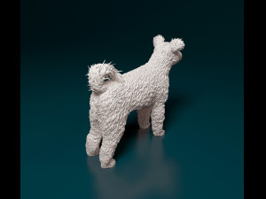 Pumi dog Modelo de Impressão 3D