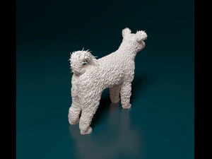 Pumi dog 3D Print Model