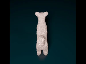 Pumi dog 3D Print Model