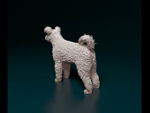Pumi dog Modelo de Impressão 3D