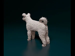 Pumi dog 3D Print Model