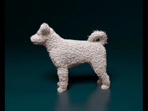 Pumi dog 3D Print Model