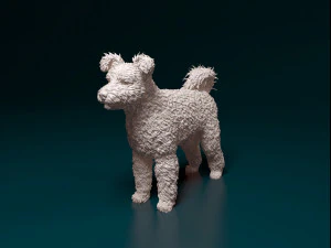 Pumi dog 3D Print Model
