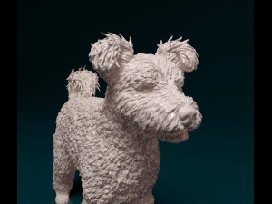 Pumi dog 3D Print Model