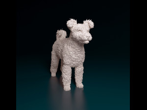 Pumi dog Modelo de Impressão 3D