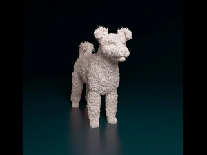 Pumi dog 3D Print Model